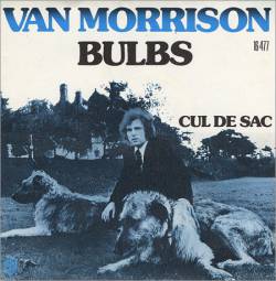 Van Morrison : Bulbs